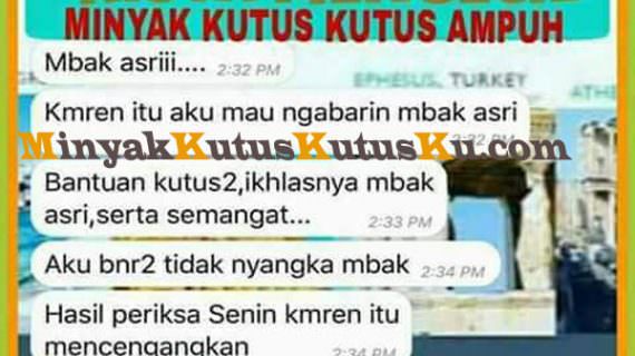 minyak kutus kutus terbukti membantu mengecilkan penyakit minyak kutus kutus terbukti membantu mengecilkan penyakit