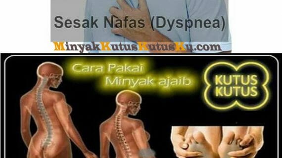 sesak napas membaik dengan baluran minyak kutus kutus sesak napas membaik dengan baluran minyak kutus kutus