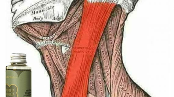 Apakah Minyak Kutus Kutus Juga Bisa Untuk Mengobati Leher 