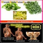 Minyak Kutus Kutus Untuk Melancarkan ASI