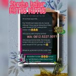 Testimoni Kesembuhan Stroke Akut Menggunakan Minyak Kutus Kutus